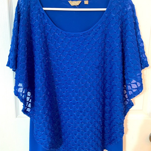 Coral Bay Blue Textured Blouse - Picture 1 of 6